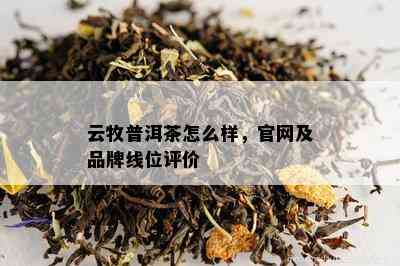 云牧普洱茶怎么样，官网及品牌线位评价