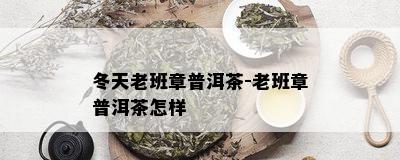 冬天老班章普洱茶-老班章普洱茶怎样