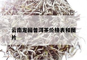 云南龙园普洱茶价格表和图片