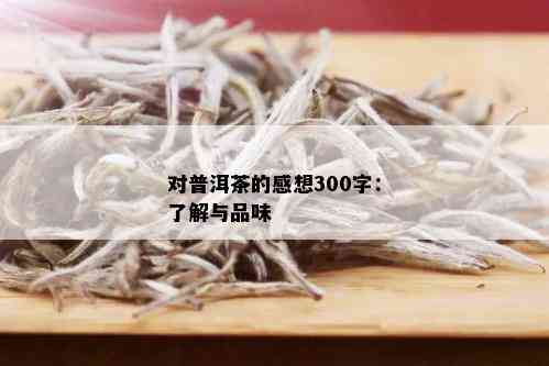 对普洱茶的感想300字：了解与品味