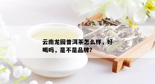 云南龙园普洱茶怎么样，好喝吗，是不是品牌？