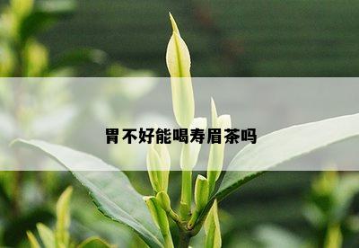 胃不好能喝寿眉茶吗