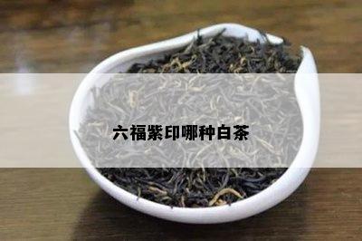 六福紫印哪种白茶