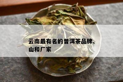 云南最有名的普洱茶品牌、山和厂家