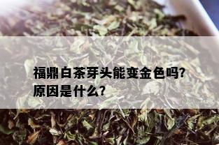 福鼎白茶芽头能变金色吗？原因是什么？