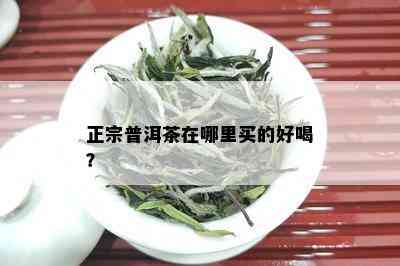 正宗普洱茶在哪里买的好喝？