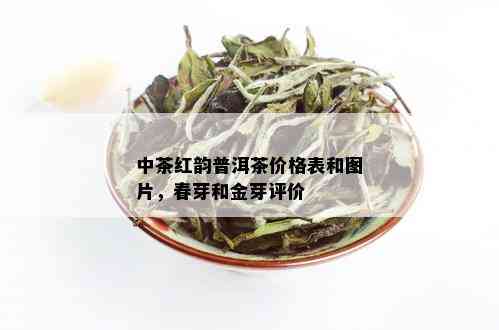 中茶红韵普洱茶价格表和图片，春芽和金芽评价