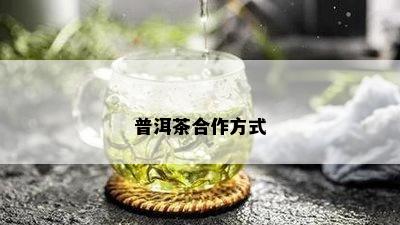 普洱茶合作方式