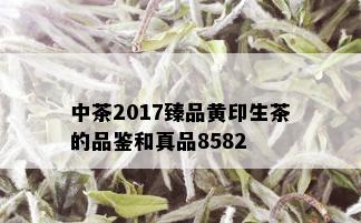 中茶2017臻品黄印生茶的品鉴和真品8582