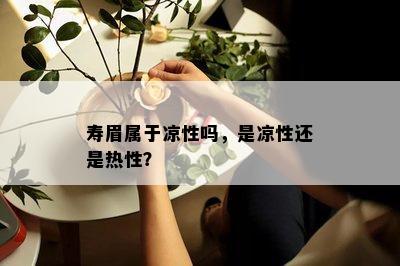 寿眉属于凉性吗，是凉性还是热性？