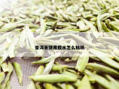 普洱茶饼用胶水怎么粘纸