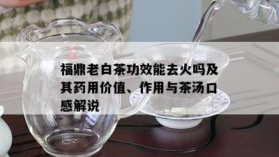 福鼎老白茶功效能去火吗及其药用价值、作用与茶汤口感解说