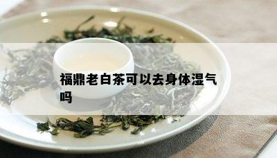 福鼎老白茶可以去身体湿气吗