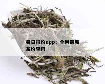 每日报价app：全网最新茶价查询