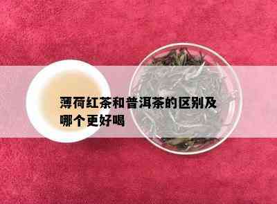 薄荷红茶和普洱茶的区别及哪个更好喝