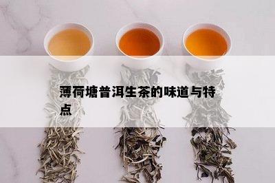 薄荷塘普洱生茶的味道与特点