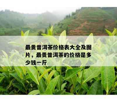 最贵普洱茶价格表大全及图片，最贵普洱茶的价格是多少钱一斤