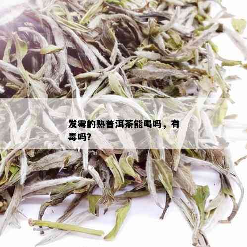 发霉的熟普洱茶能喝吗，有吗？