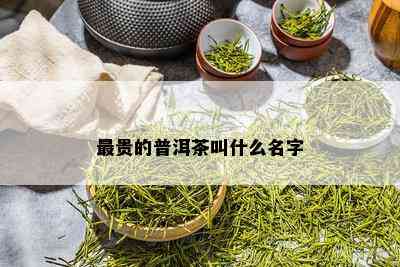 最贵的普洱茶叫什么名字