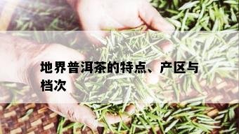 地界普洱茶的特点、产区与档次