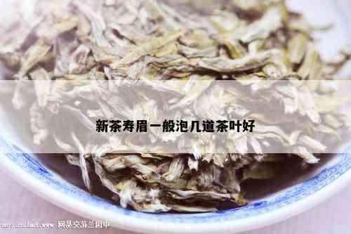 新茶寿眉一般泡几道茶叶好