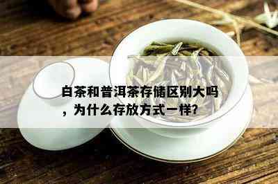 白茶和普洱茶存储区别大吗，为什么存放方式一样？