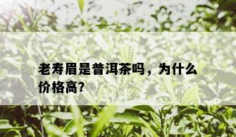 老寿眉是普洱茶吗，为什么价格高？