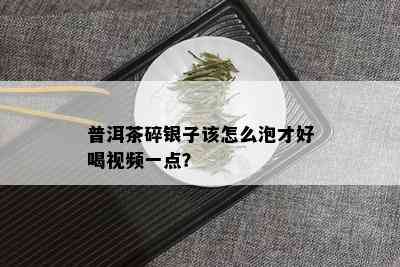 普洱茶碎银子该怎么泡才好喝视频一点？