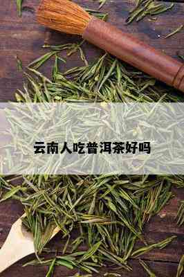 云南人吃普洱茶好吗