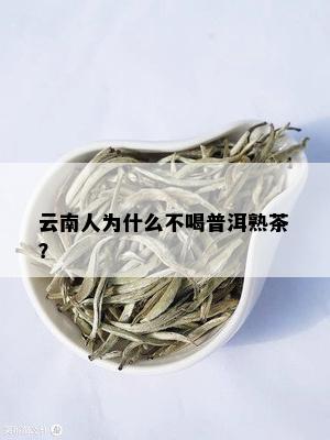 云南人为什么不喝普洱熟茶？