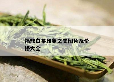 福鼎白茶印象之美图片及价格大全