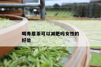 喝寿眉茶可以减肥吗女性的好处