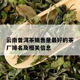 云南普洱茶销售量更好的茶厂排名及相关信息