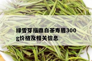 绿雪芽福鼎白茶寿眉300g价格及相关信息