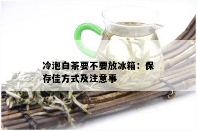 冷泡白茶要不要放冰箱：保存佳方式及注意事