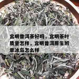 宫明普洱茶好吗，宫明茶叶质量怎样，宫明普洱原生班章冰岛怎么样