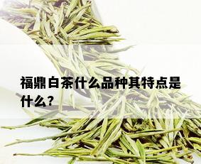 福鼎白茶什么品种其特点是什么?