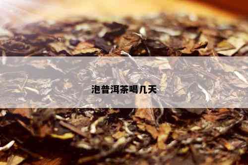 泡普洱茶喝几天