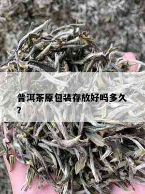 普洱茶原包装存放好吗多久？