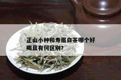 正山小种和寿眉白茶哪个好喝且有何区别？