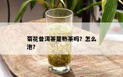 菊花普洱茶是熟茶吗？怎么泡？