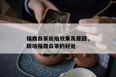 福鼎白茶炭焙效果及原因，碳培福鼎白茶的好处