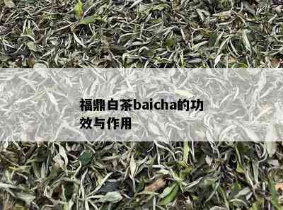 福鼎白茶baicha的功效与作用