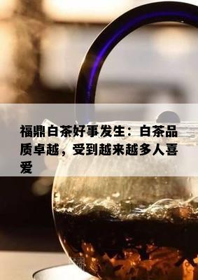 福鼎白茶好事发生：白茶品质卓越，受到越来越多人喜爱