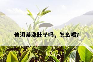 普洱茶涨肚子吗，怎么喝？