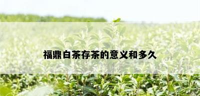 福鼎白茶存茶的意义和多久