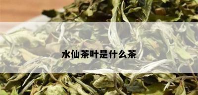 水仙茶叶是什么茶