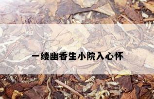 一缕幽香生小院入心怀