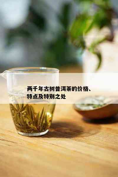 两千年古树普洱茶的价格、特点及特别之处