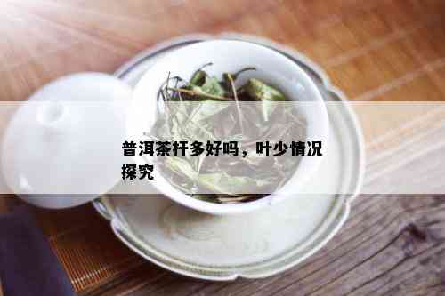 普洱茶杆多好吗，叶少情况探究